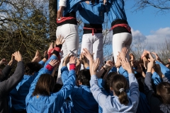 dsc_0537_25197886239_os