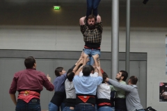 12562350_1698810653668024_1853775283_o